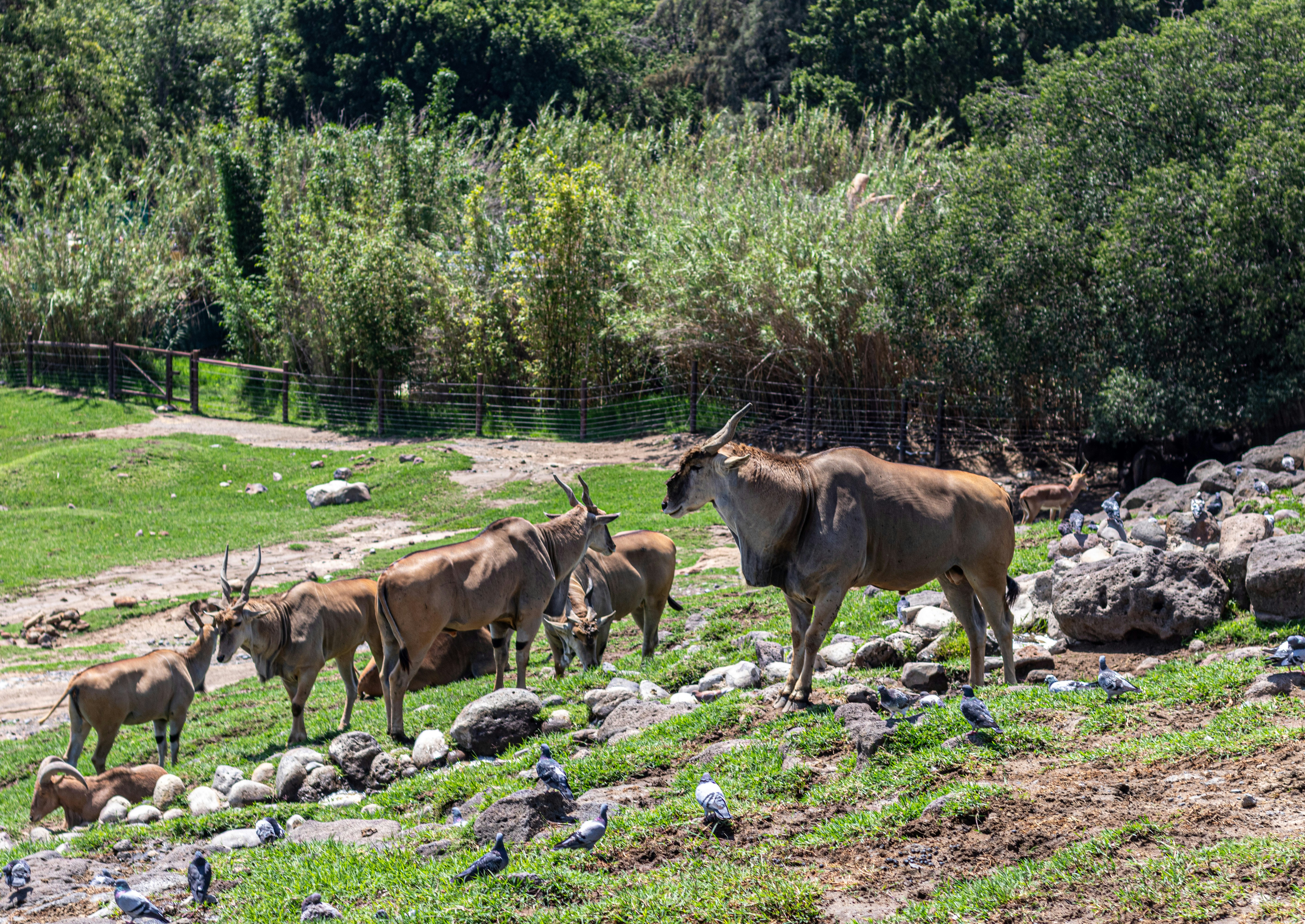 Photo by brenda_sunshine