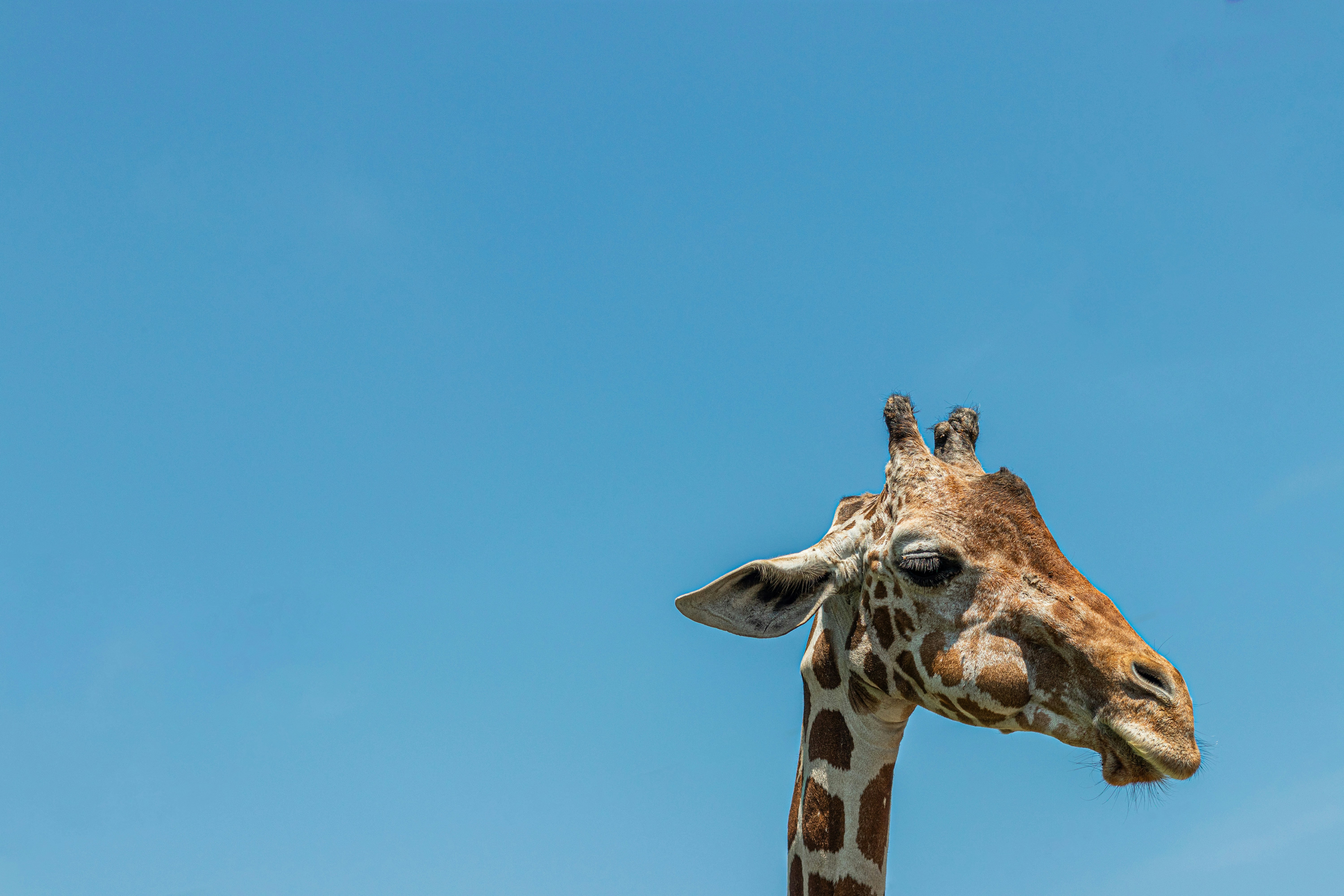 Photo by brenda_sunshine