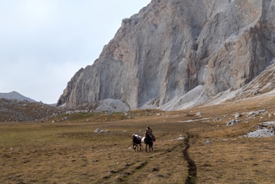 Traveler riding a sturdy horse through the vast Mongolian grasslands.