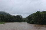 A scenic view of a river surrounded by lush greenery.