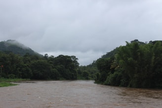 A scenic view of a river surrounded by lush greenery.