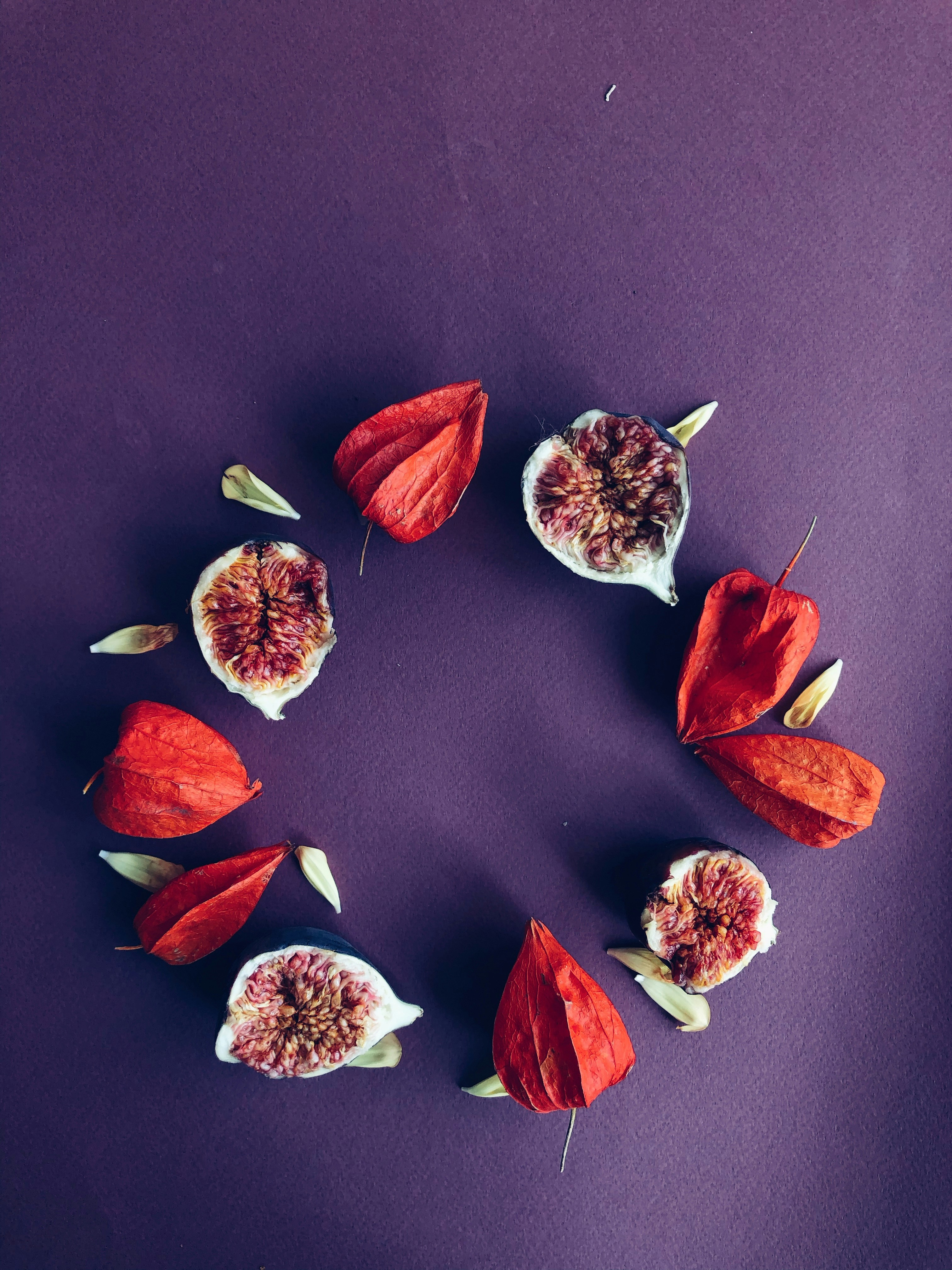 Photo by kolir_svitla