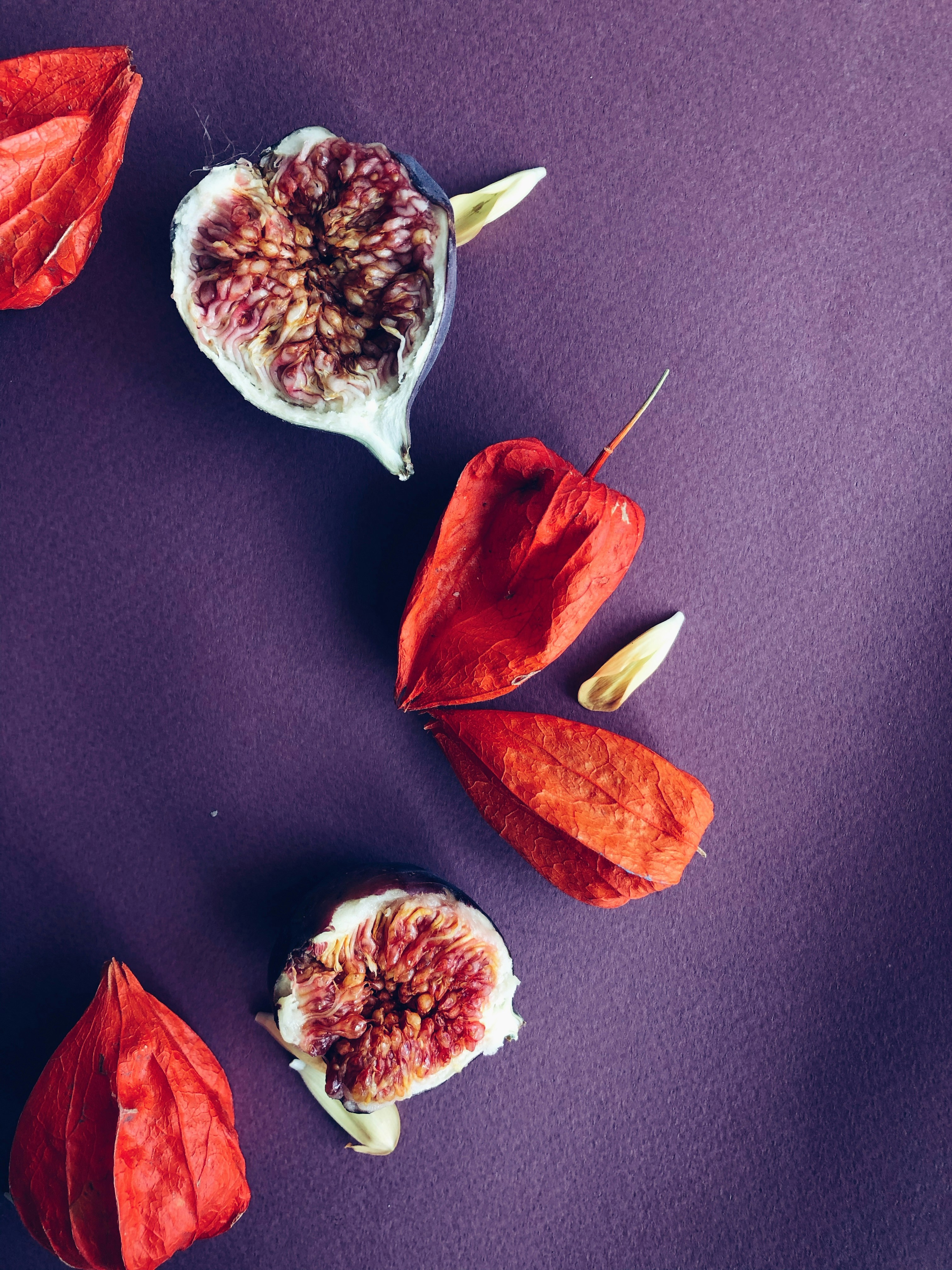 Photo by kolir_svitla