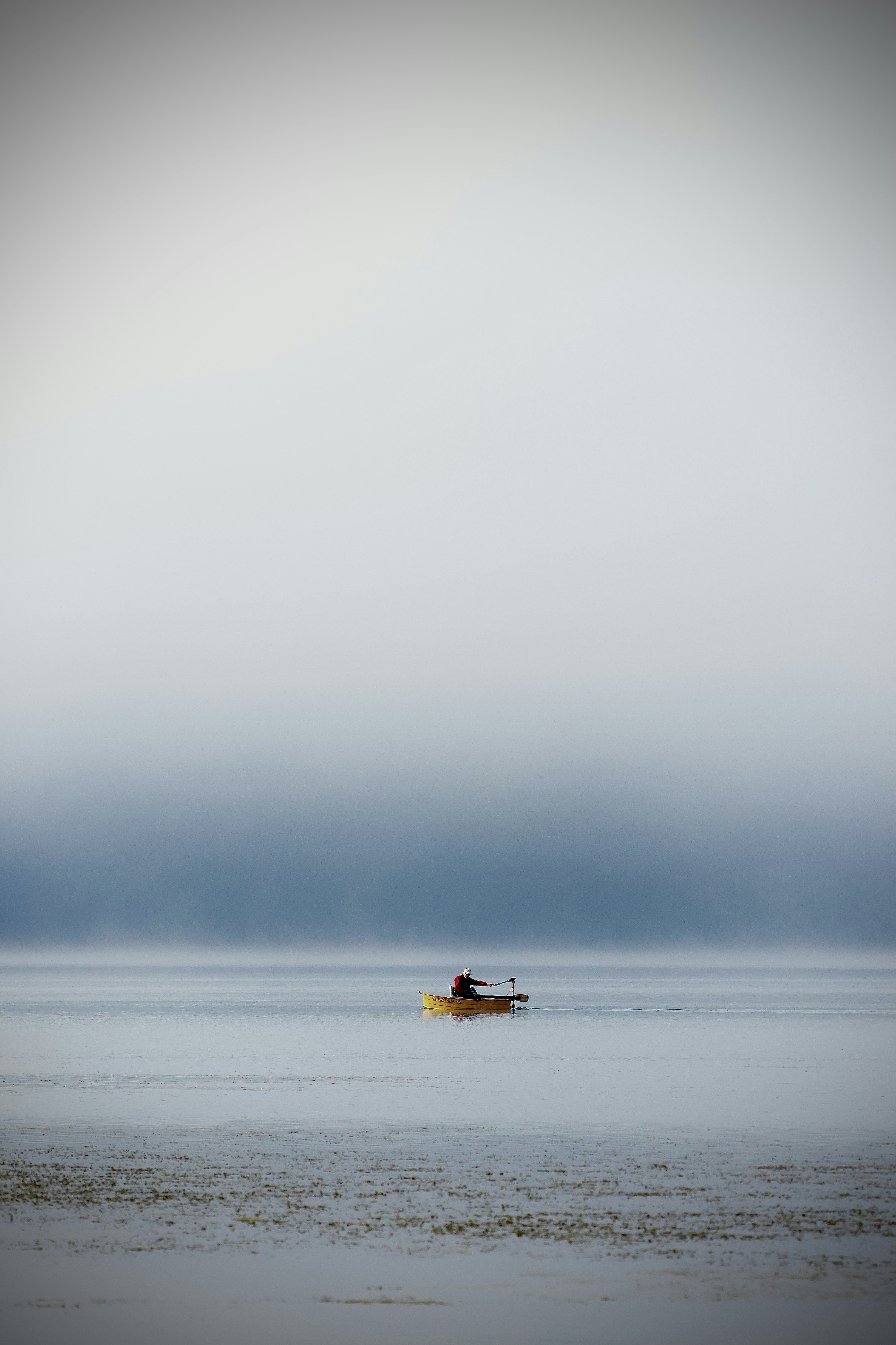Photo by kieranbr