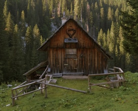 A rustic wooden cabin is nestled among dense pine trees, with a sloped roof and a small chimney. The cabin is surrounded by a wooden fence, and the ground is covered with lush green grass. Sunlight filters through the trees, casting dappled shadows on the cabin and ground.