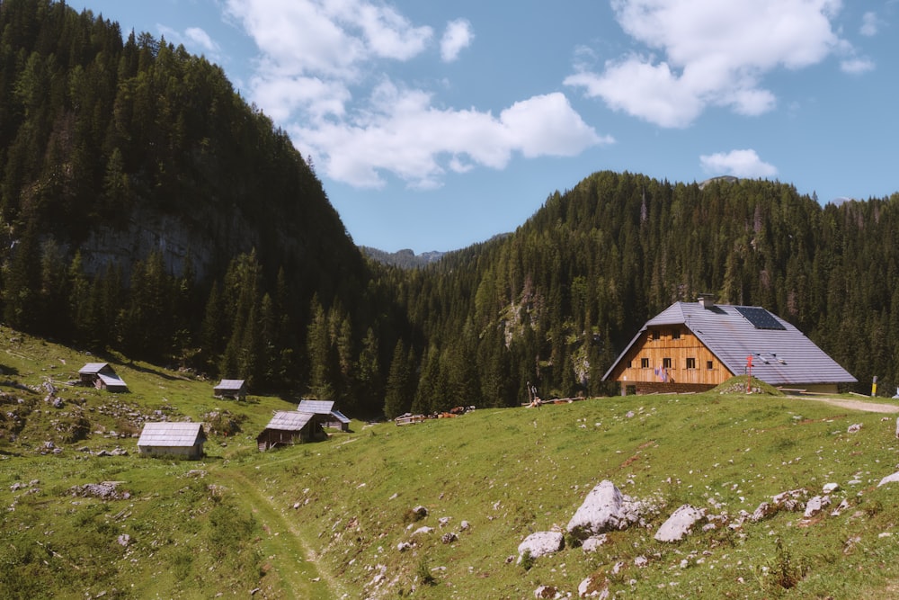 a house in the middle of a grassy field