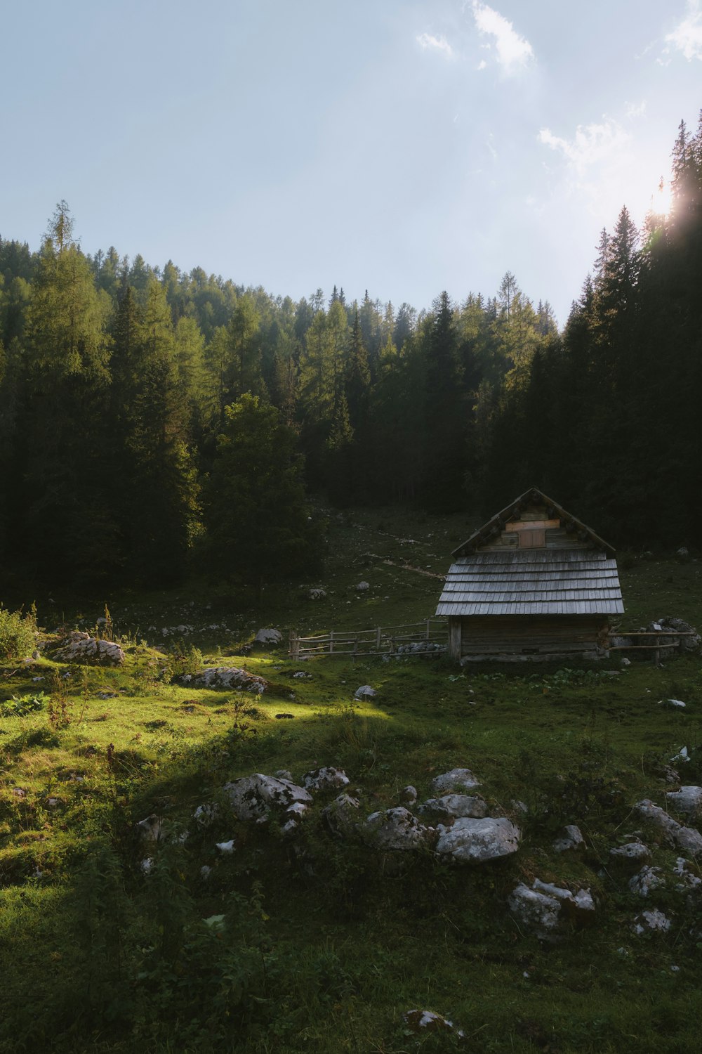 a small cabin in the middle of a forest