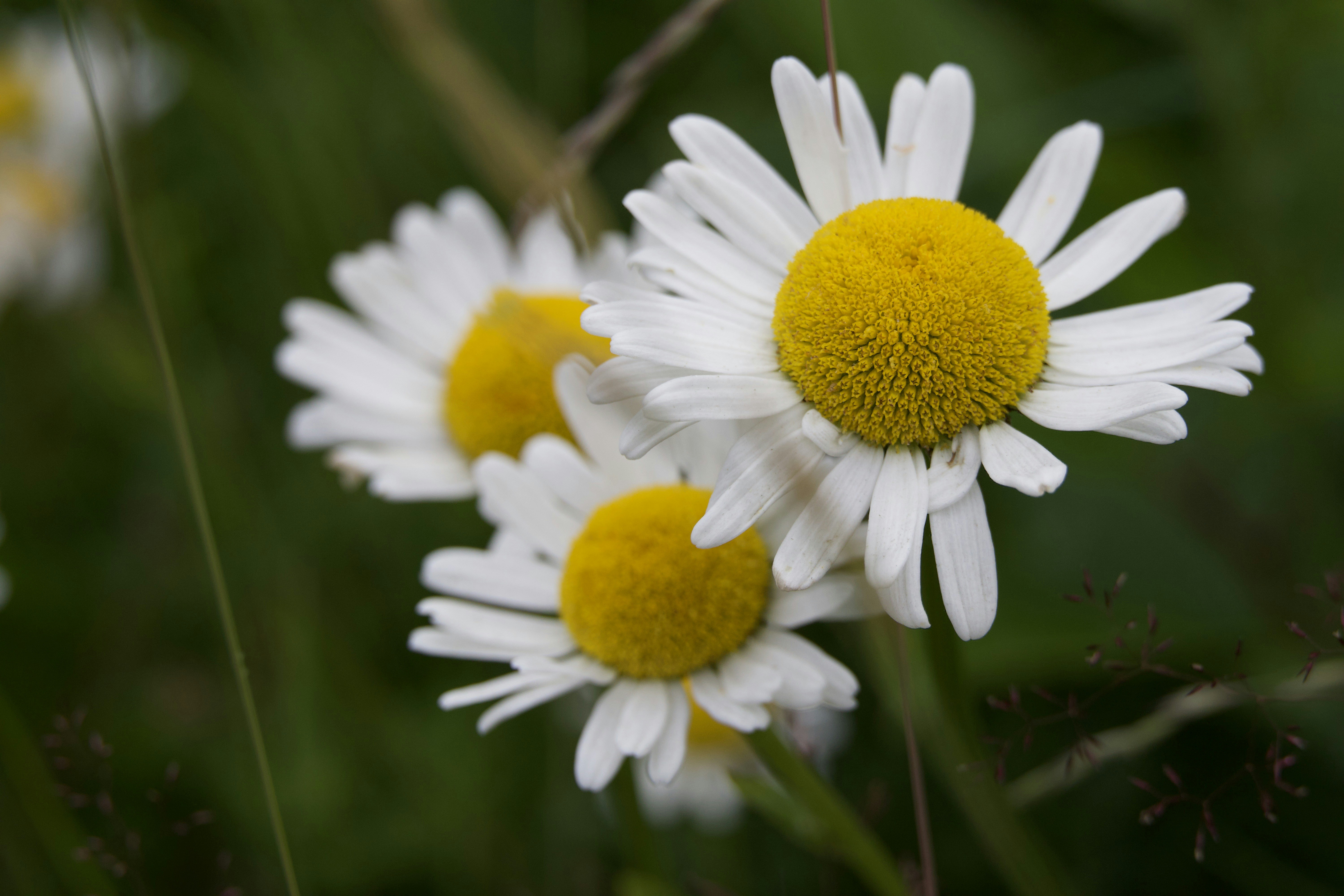 Photo by stockbirken