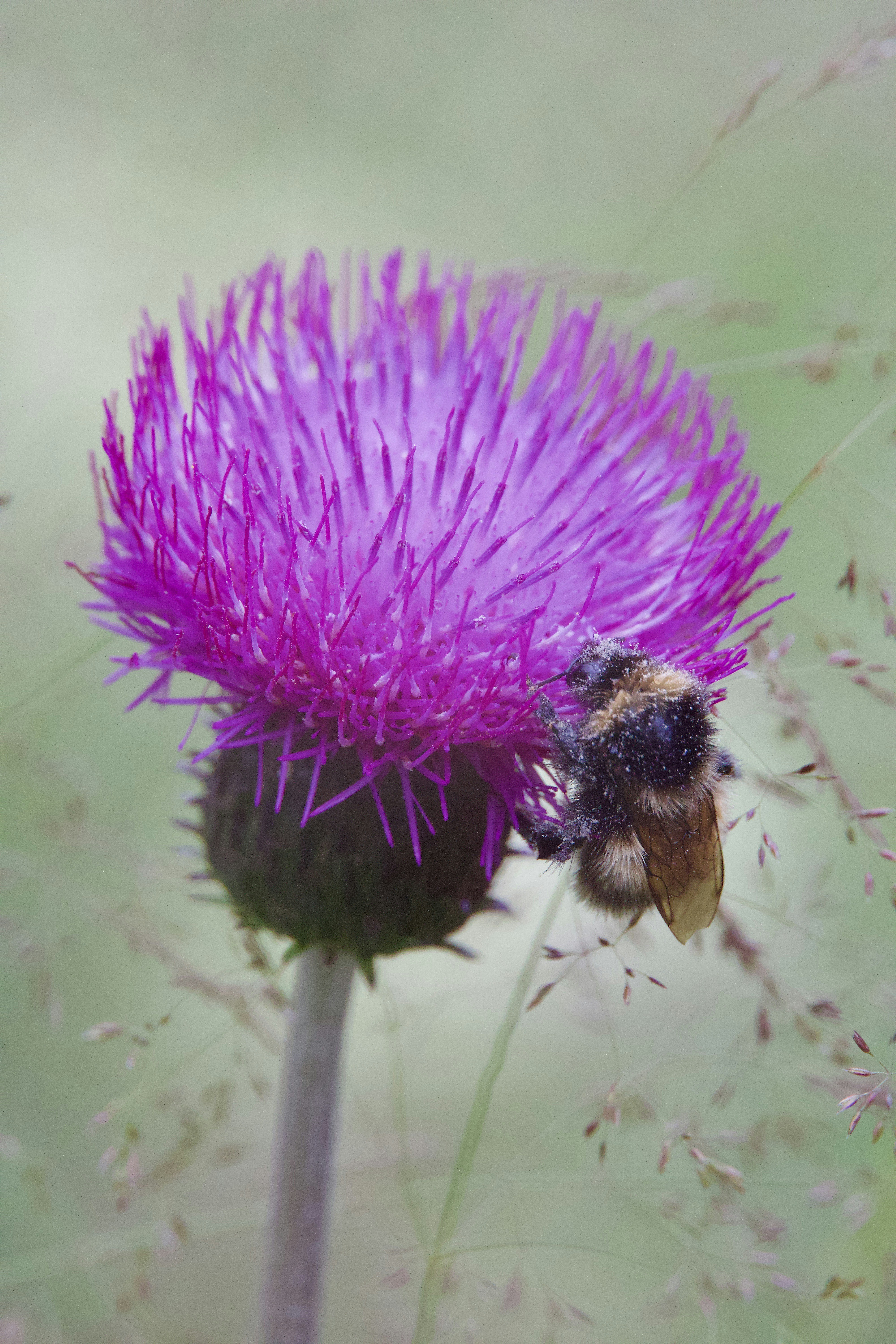 Photo by stockbirken