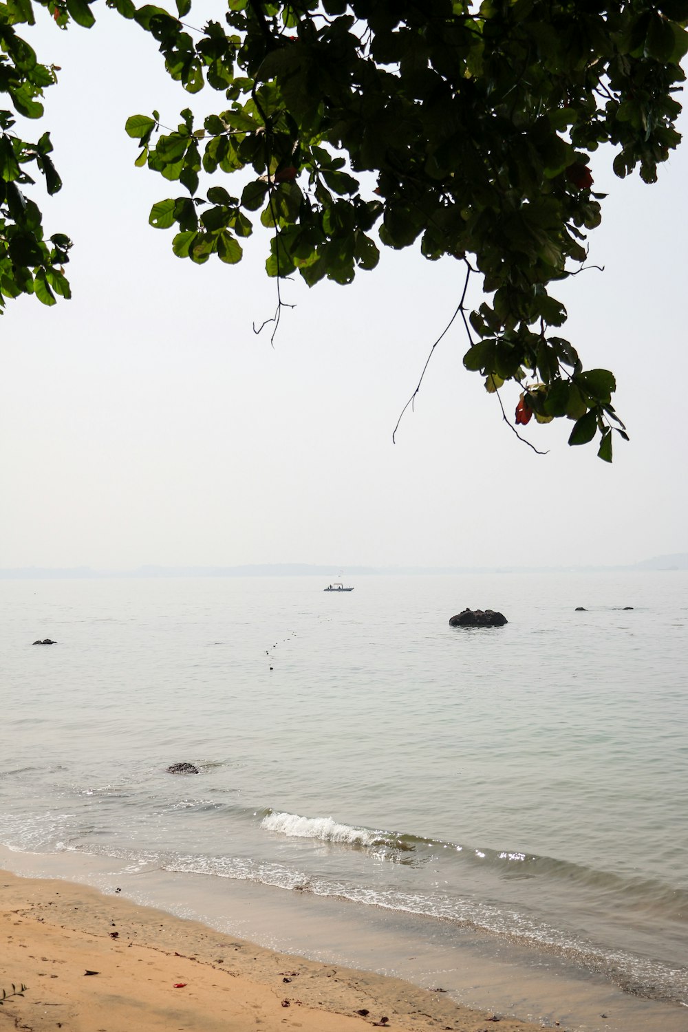 uma vista para o oceano a partir de uma praia