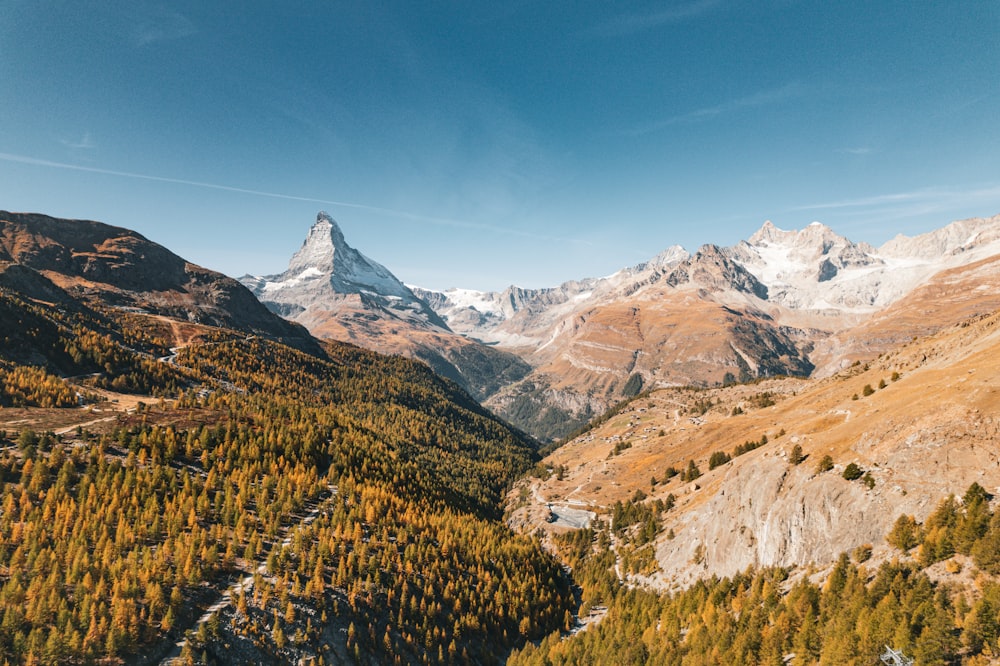 Una vista de una cadena montañosa con árboles en primer plano