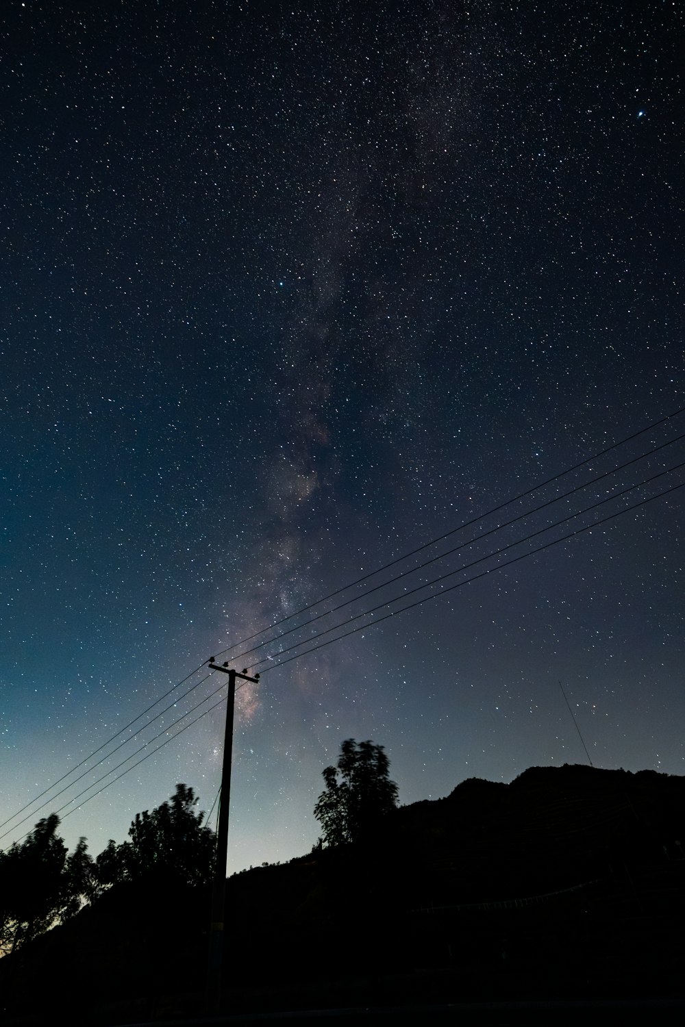 the night sky with stars and a telephone pole in the foreground