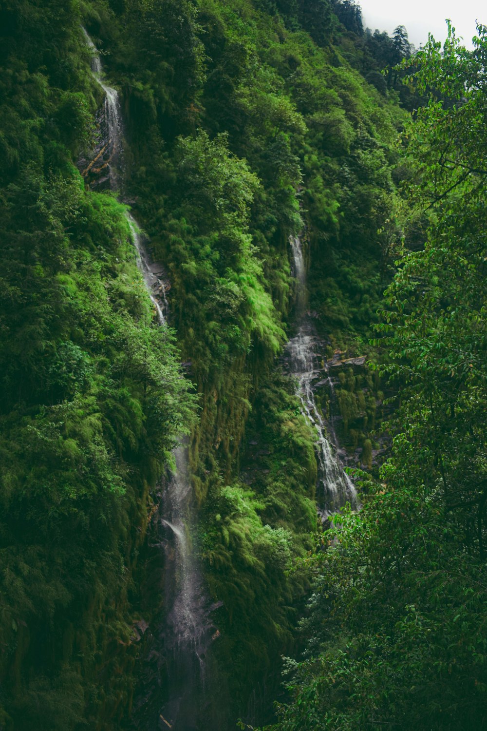 a waterfall in the middle of a lush green forest