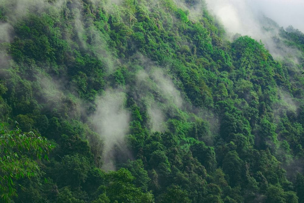 a green mountain covered in fog and clouds