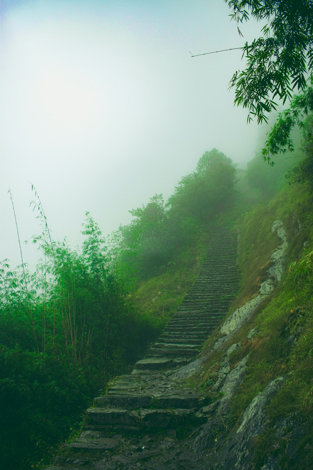 a set of stone steps leading up a hill