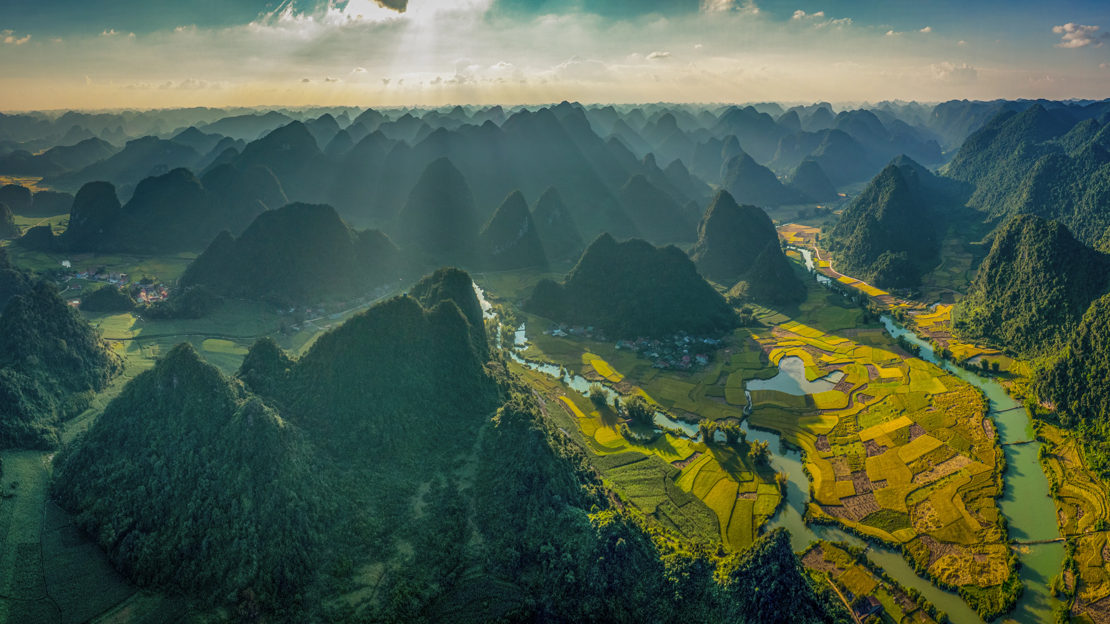 Rice fields turning gold at harvest between limestone hills and river bends, Trung Khanh, Cao Bang province
