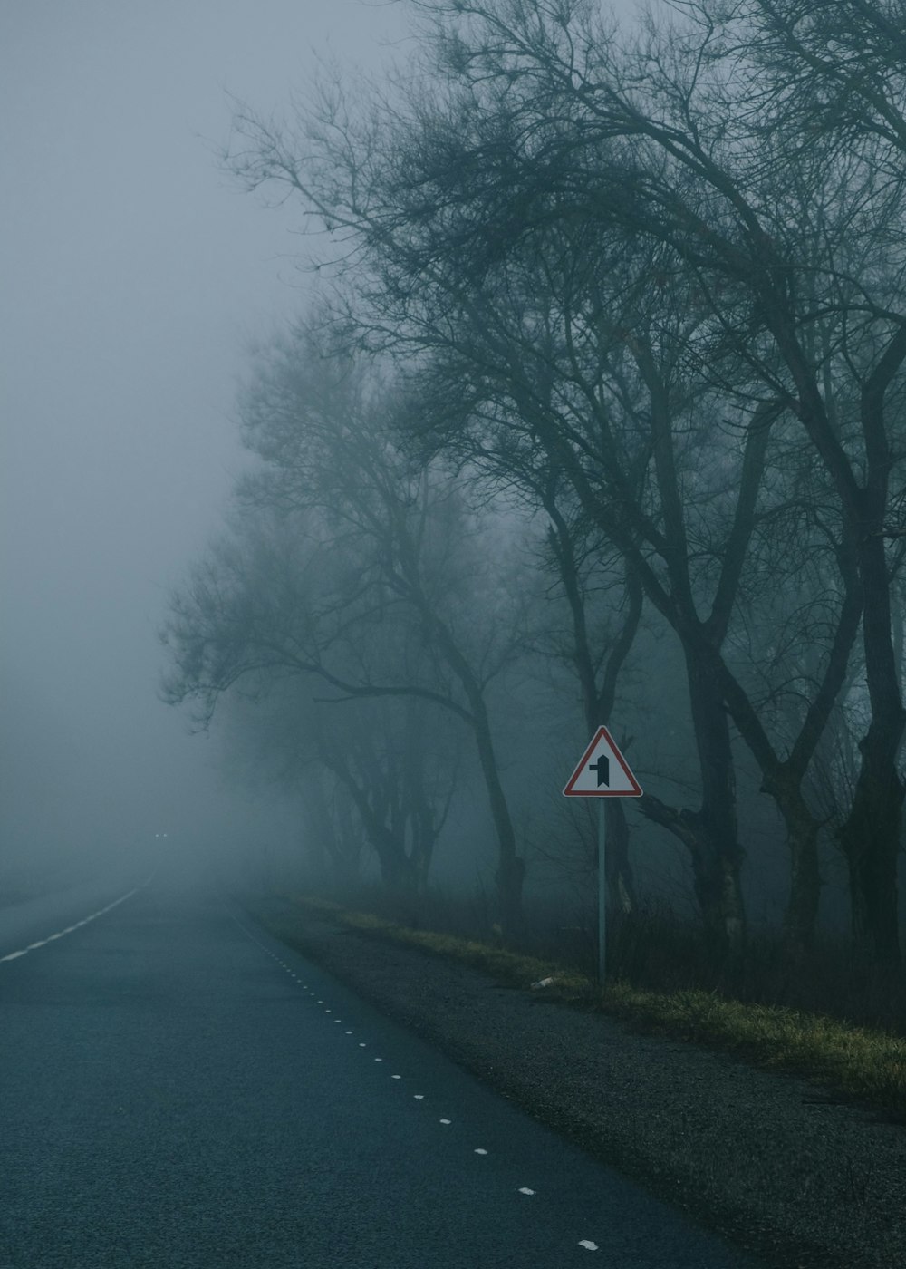 a foggy road with trees and a street sign