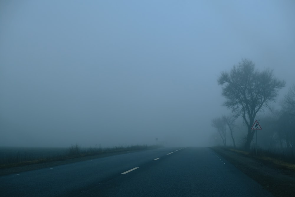 a foggy road with trees in the distance