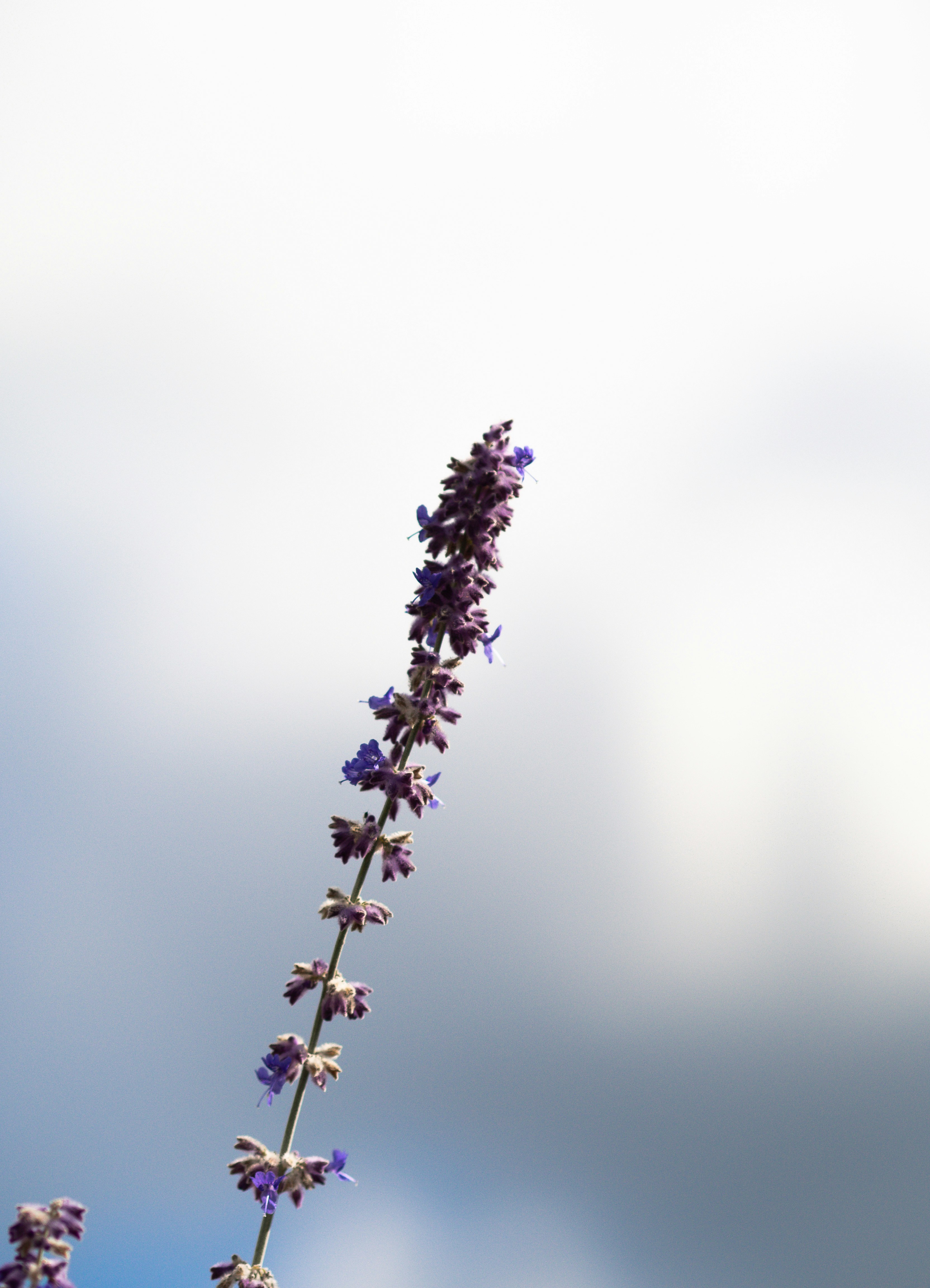 Photo by anna_c_wilhelm