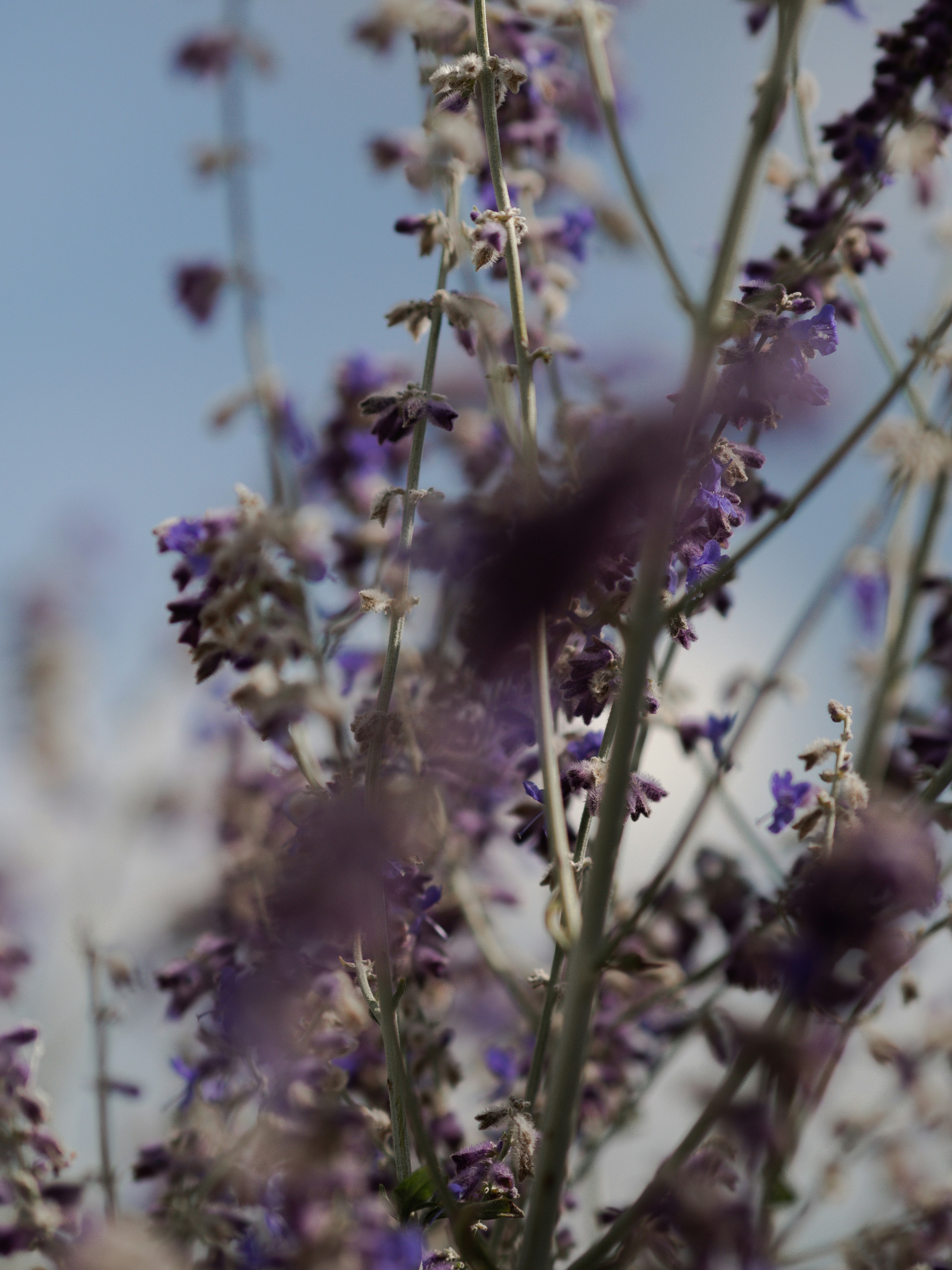 Photo by anna_c_wilhelm