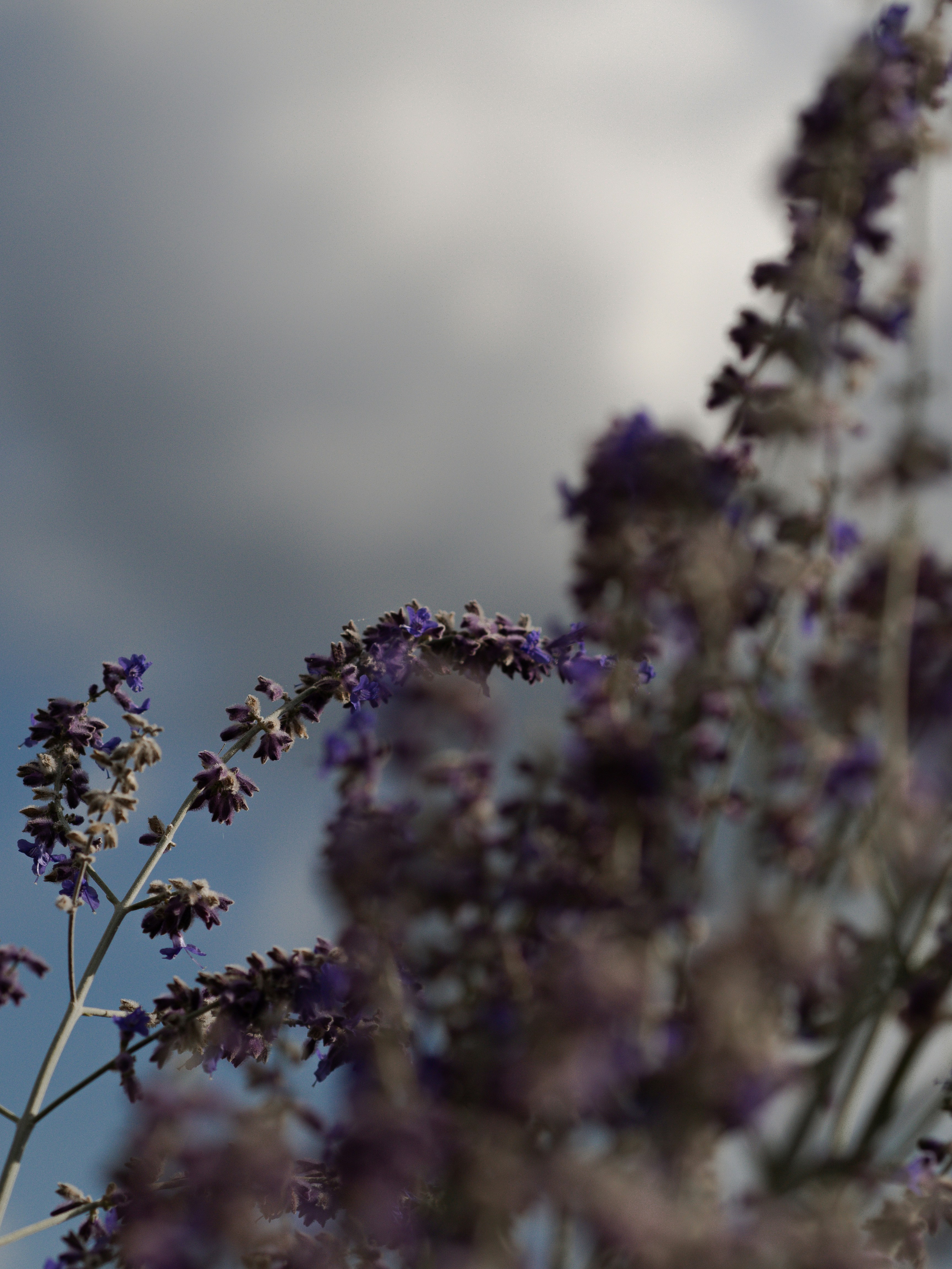 Photo by anna_c_wilhelm