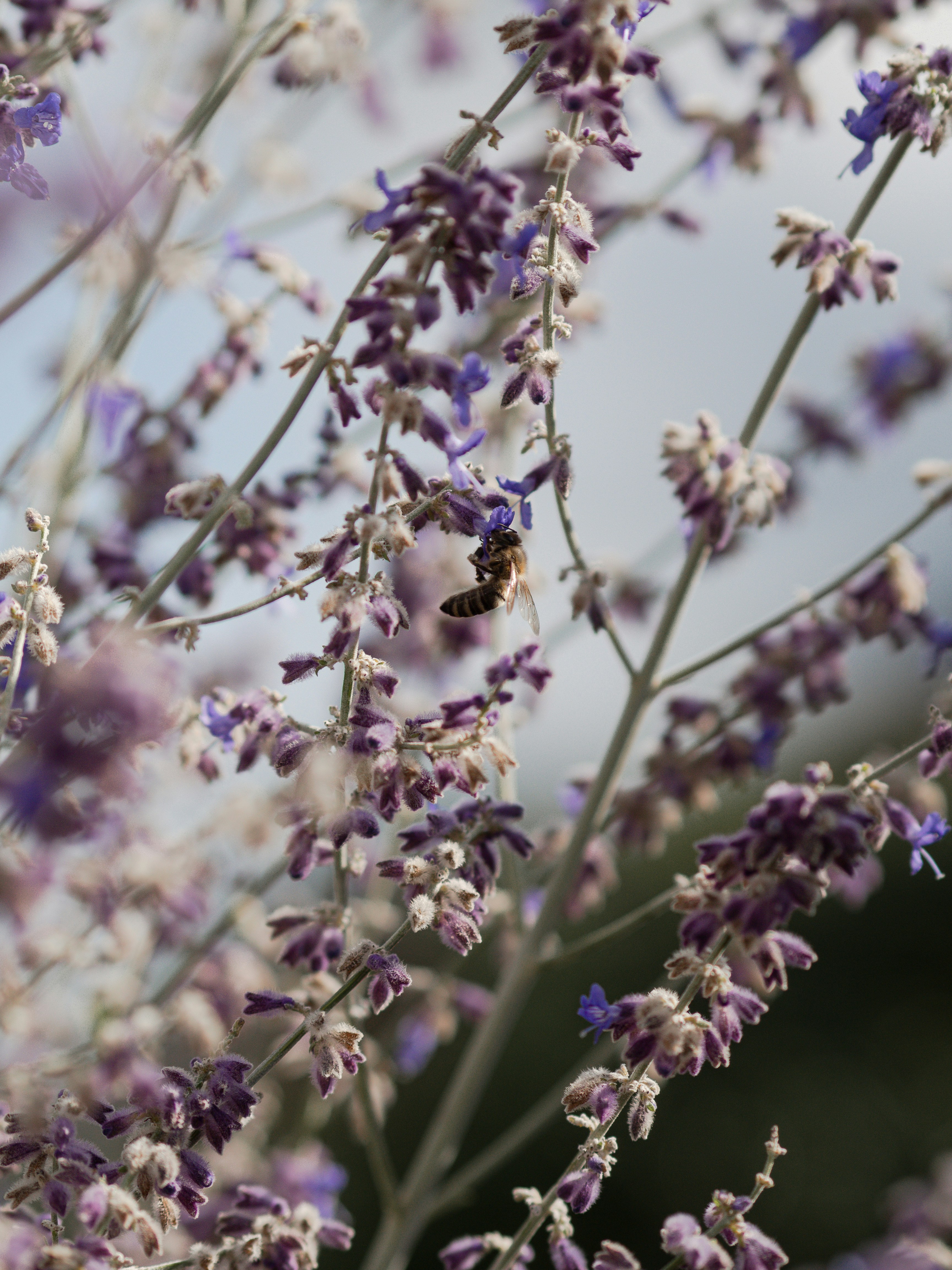 Photo by anna_c_wilhelm