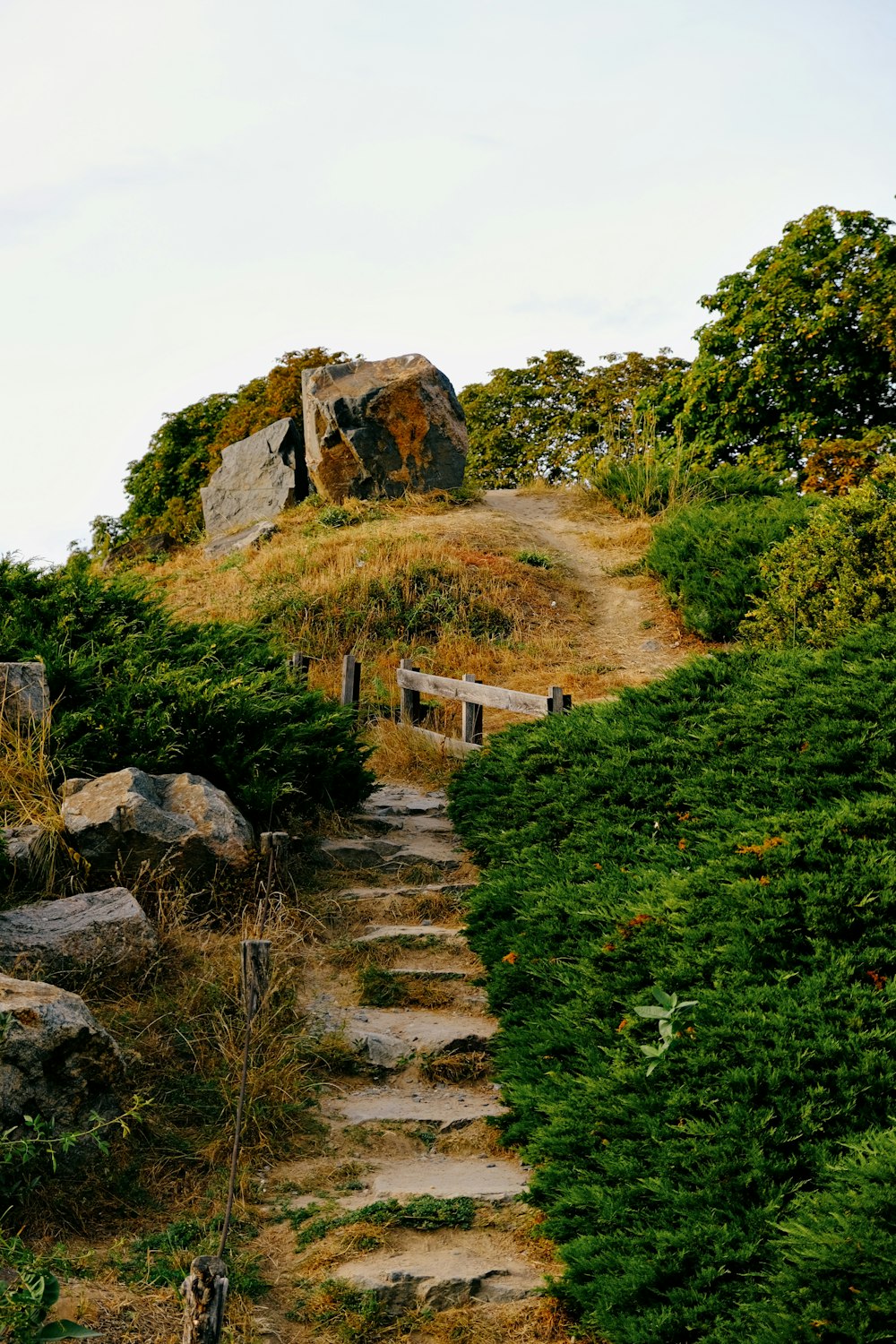 a stone path leading up to a rock outcropping