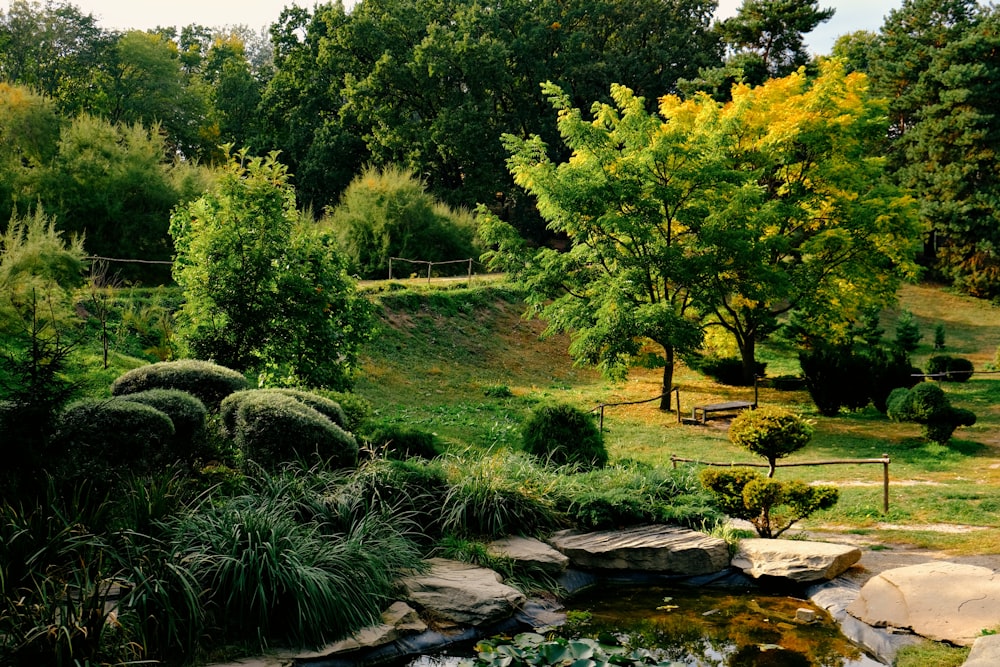 a small pond surrounded by rocks and trees