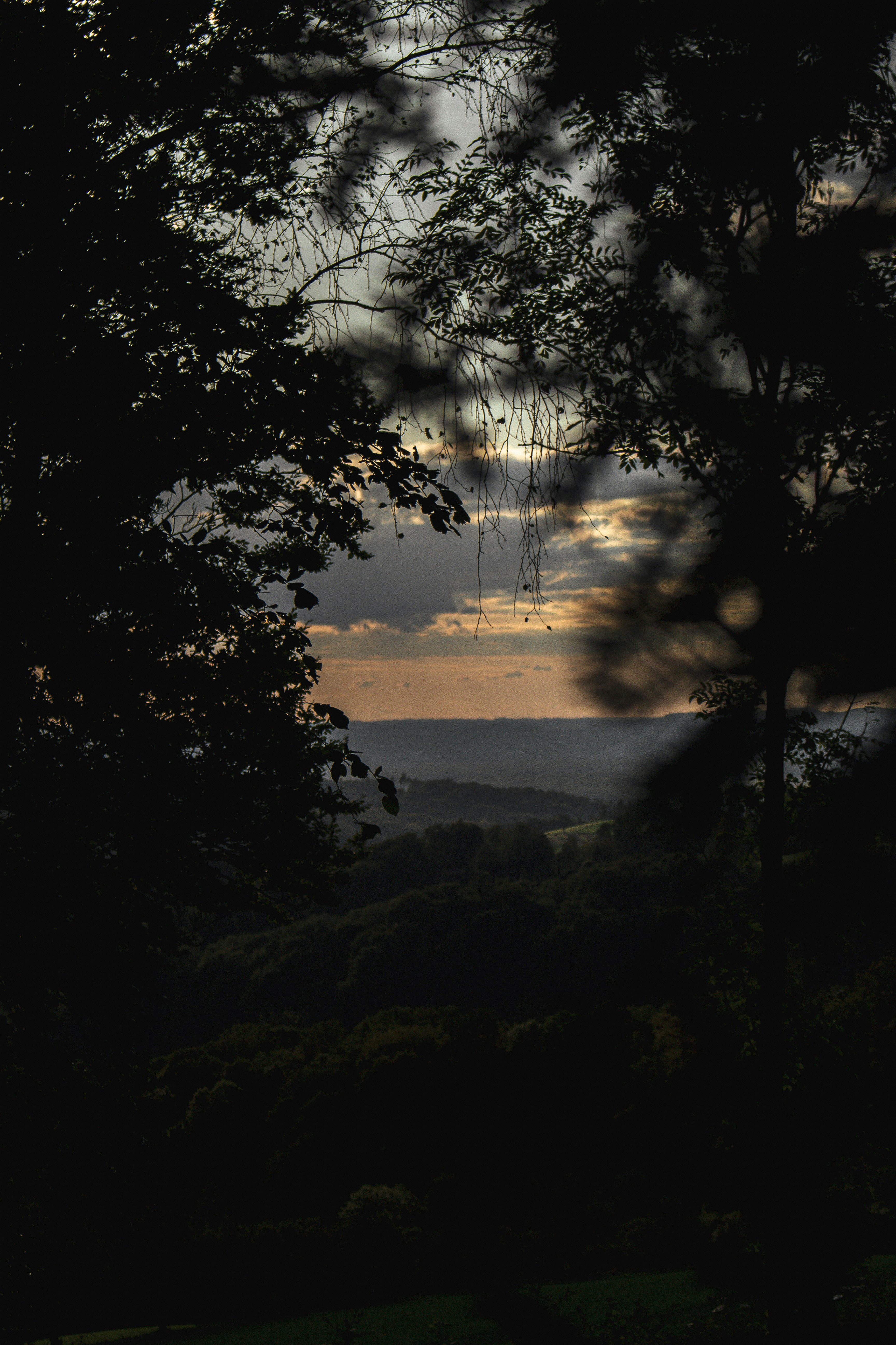 Photo by anna_c_wilhelm