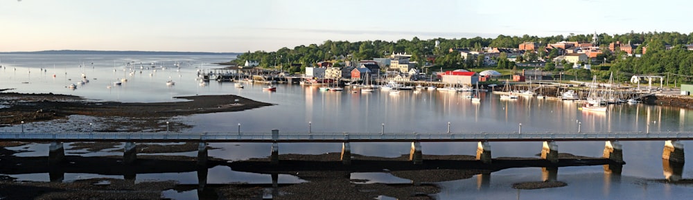 a wooden bridge over a body of water