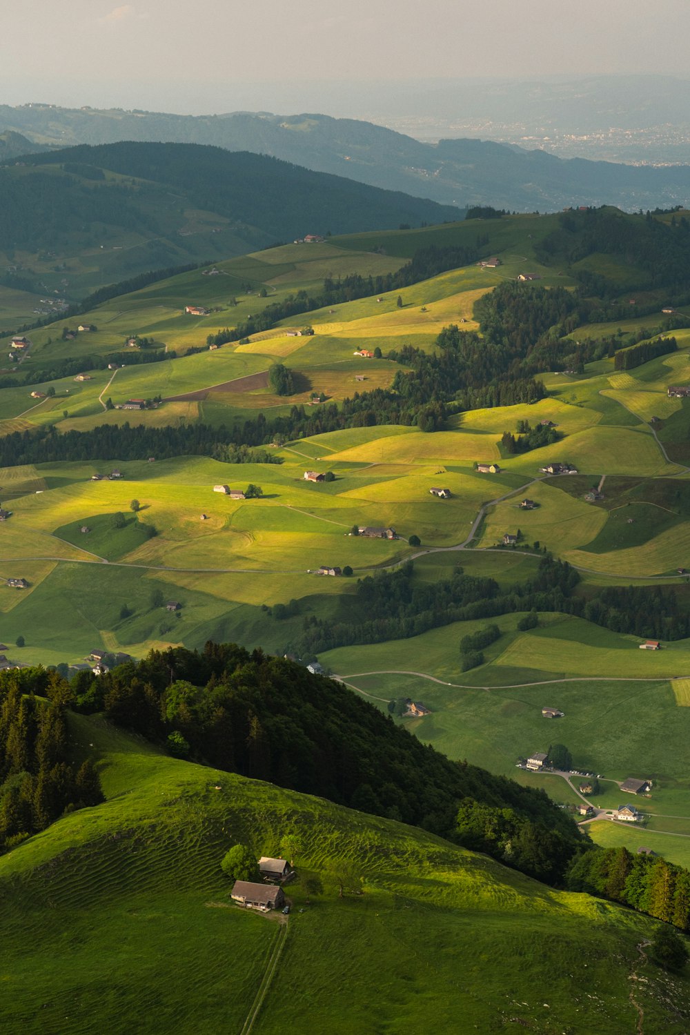 a lush green hillside covered in lots of green grass