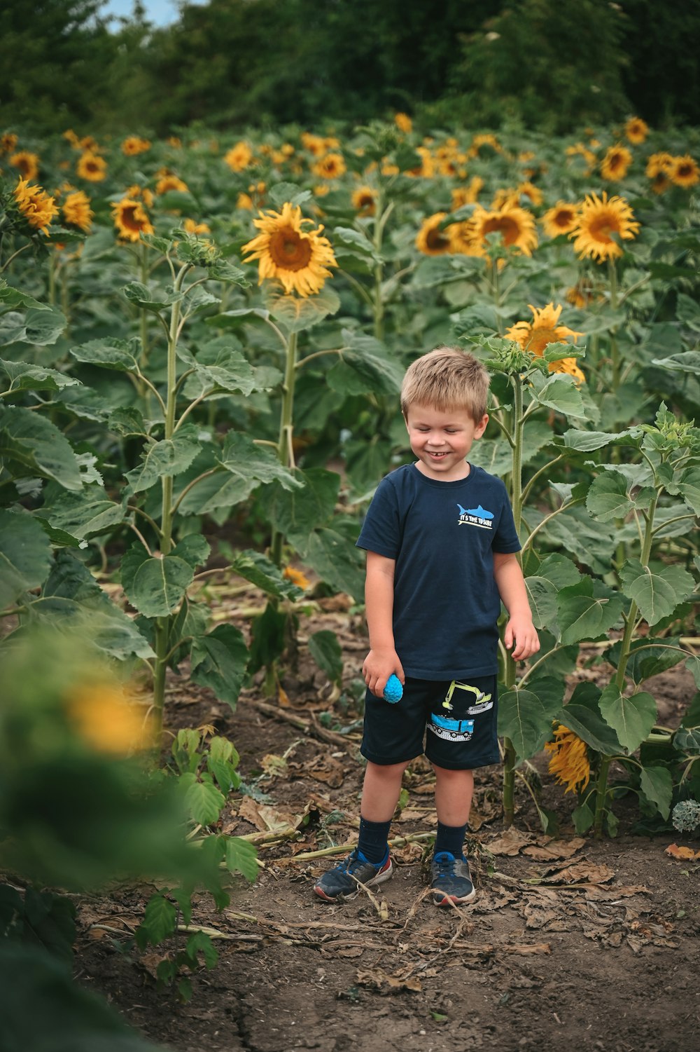 a young boy standing in a field of sunflowers