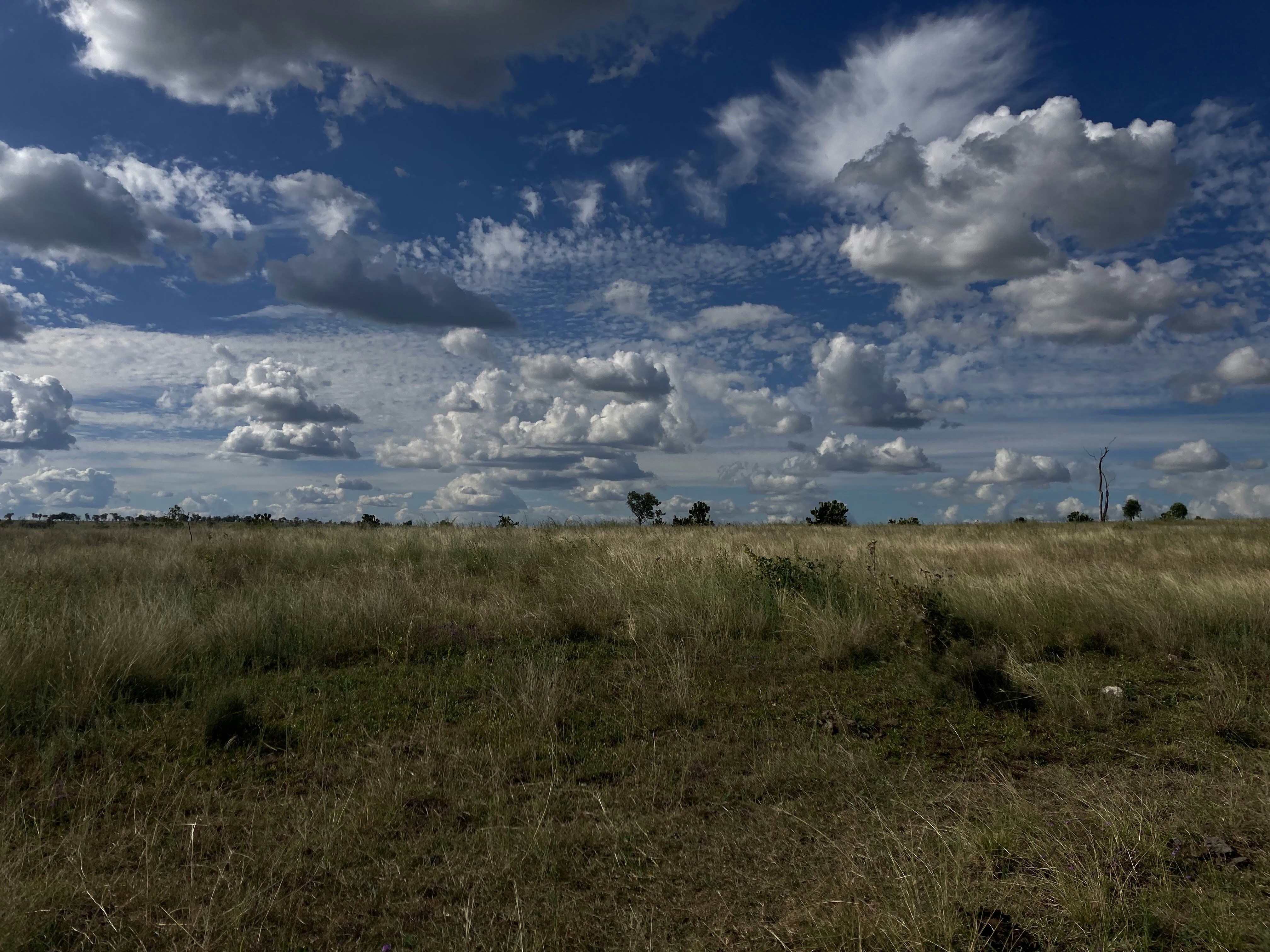 Photo by kate_lindy87