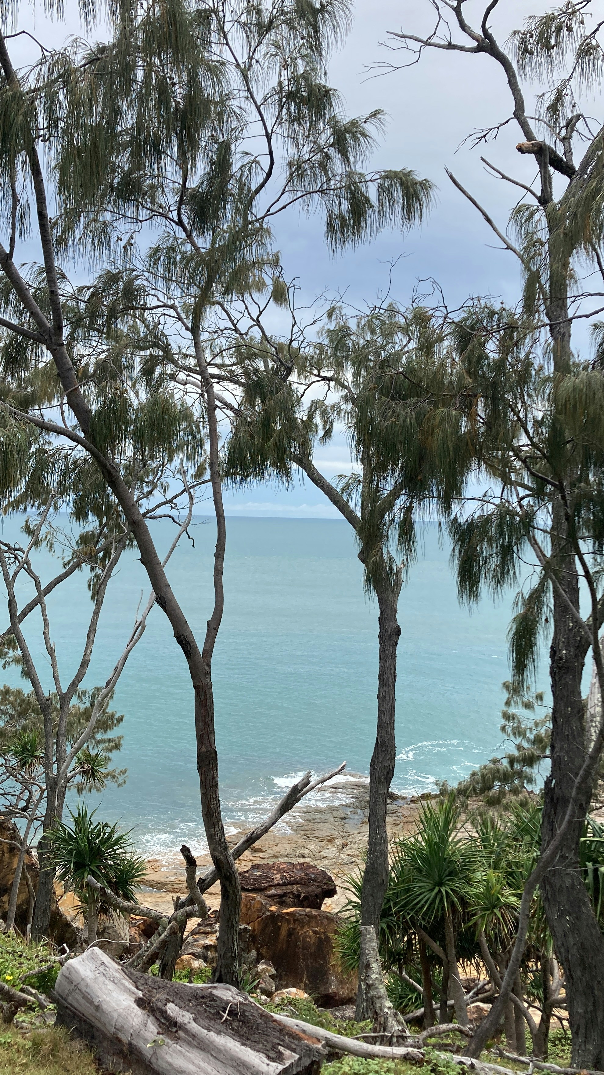 a bench sitting on top of a lush green hillside
