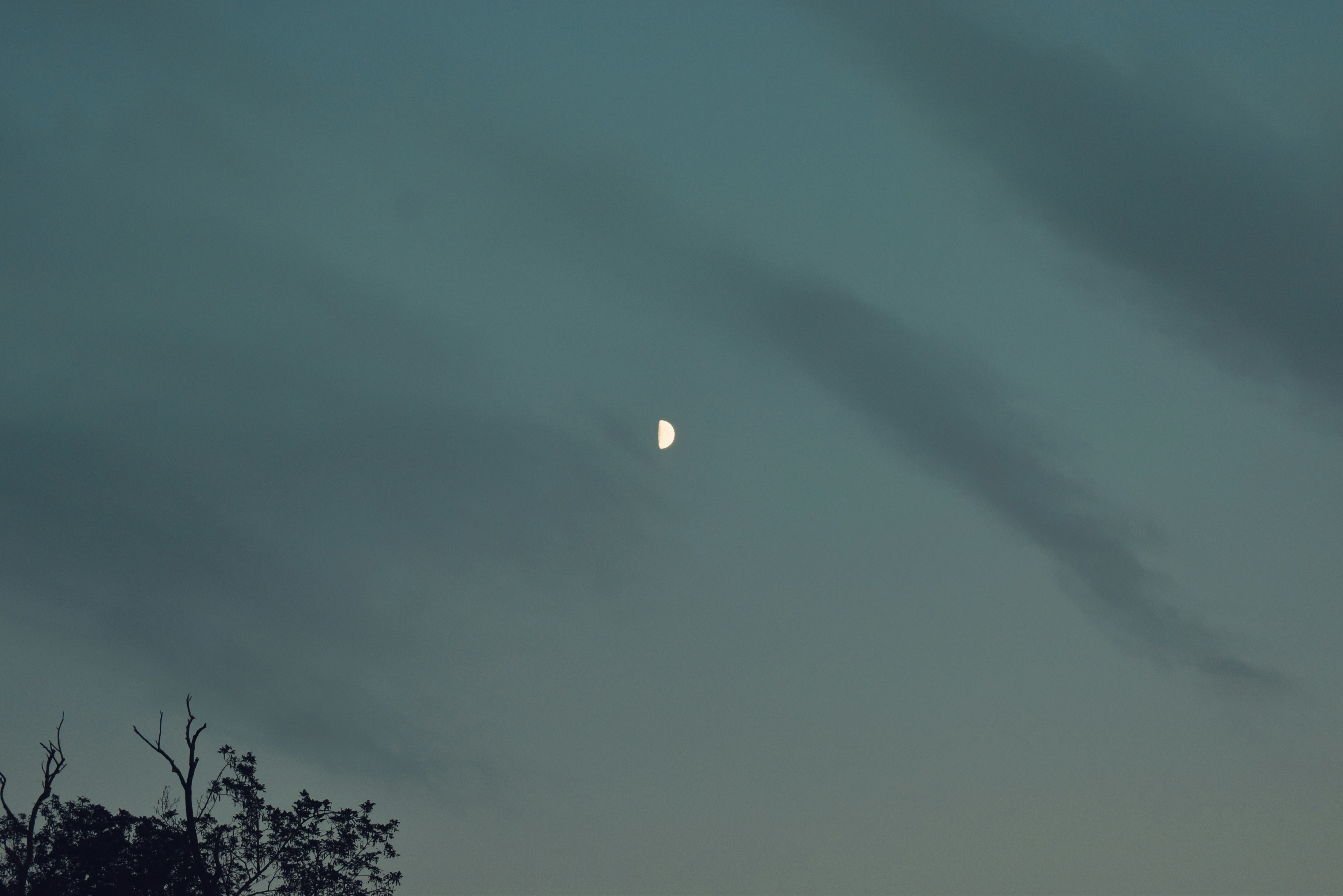 Photo by mehdi_khoshnevisz