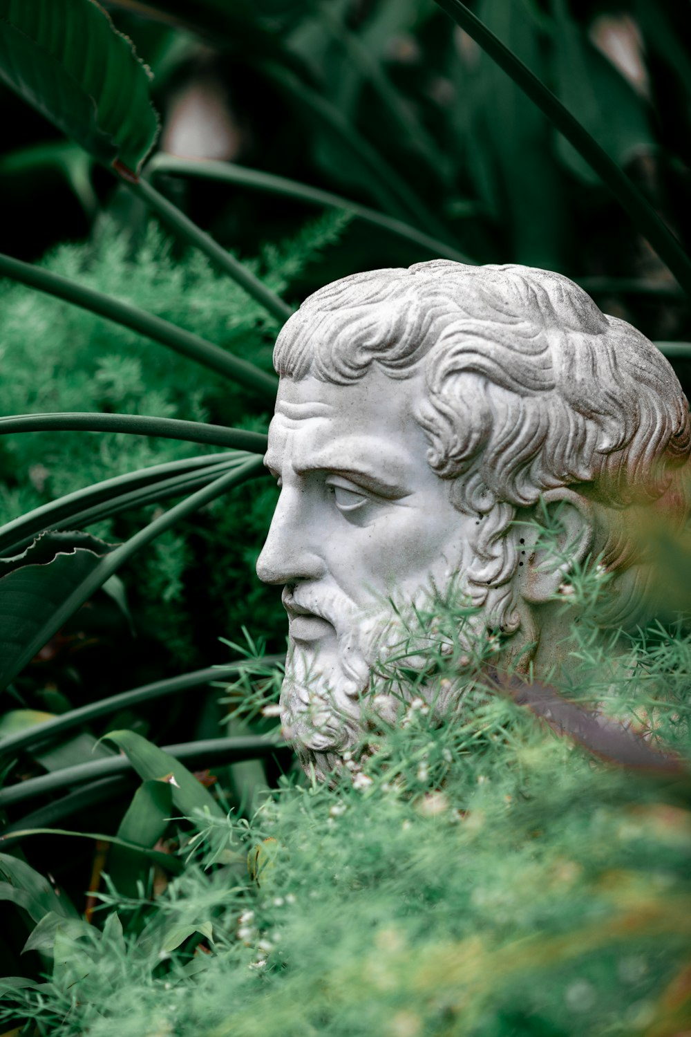 a statue of a man surrounded by plants