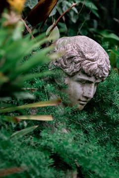 a statue of a head in the grass