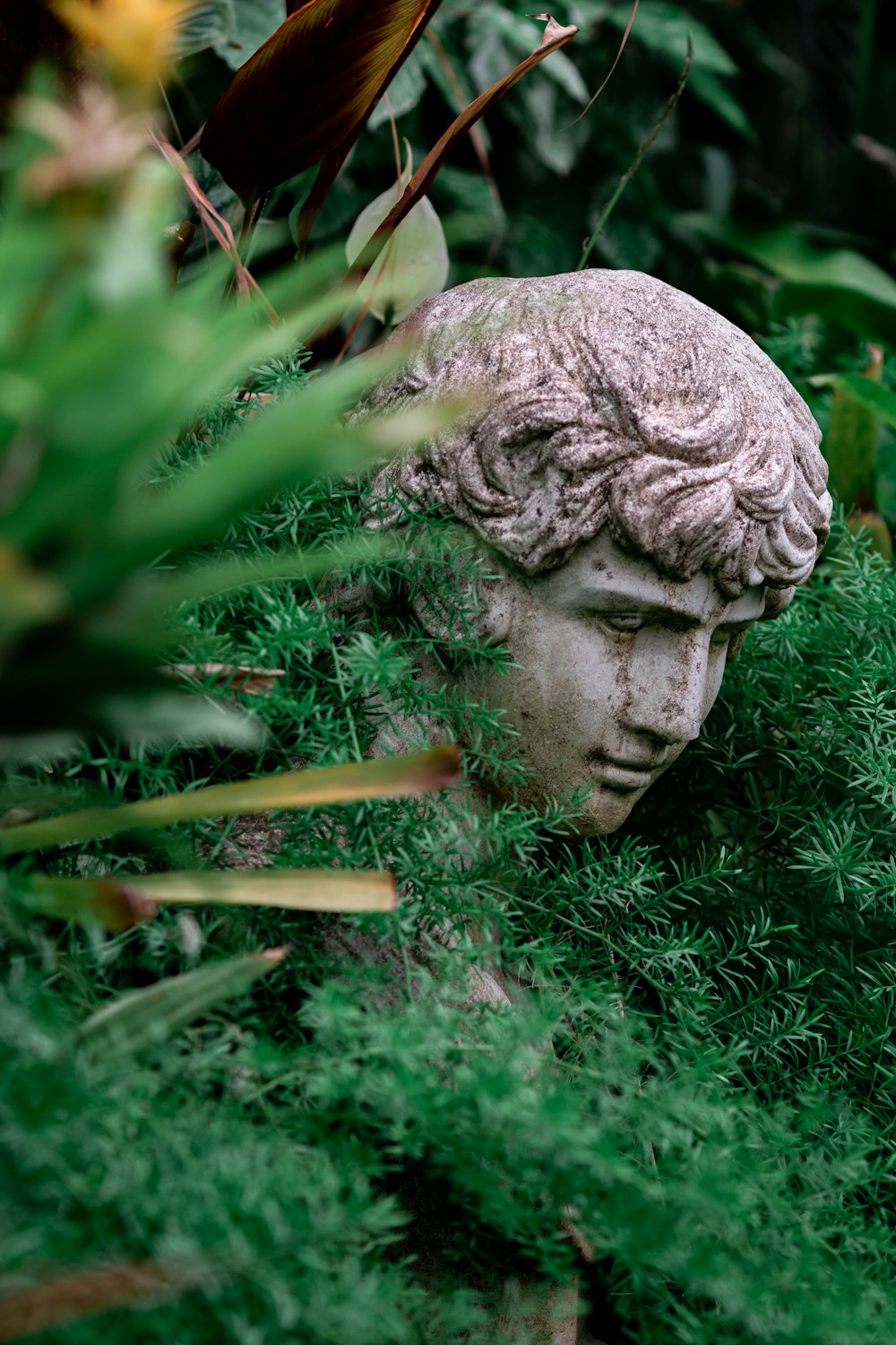 a statue of a head in the grass