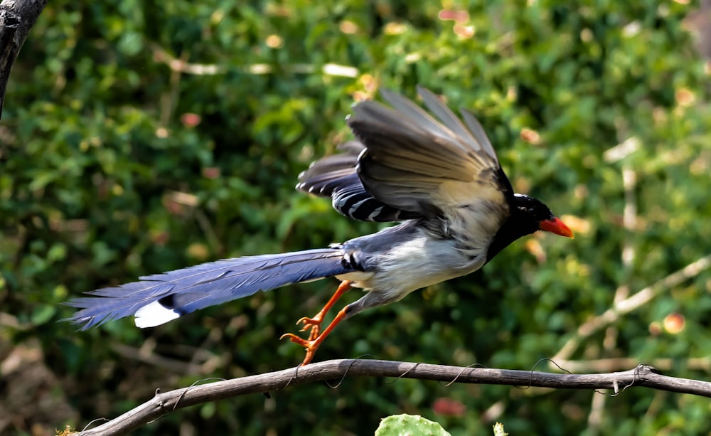 a small bird flying over a tree branch