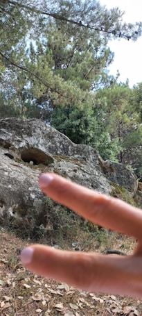 A hand in the foreground displays a peace sign against a background of natural scenery, featuring large rock formations partially covered with moss and surrounded by lush, green trees.