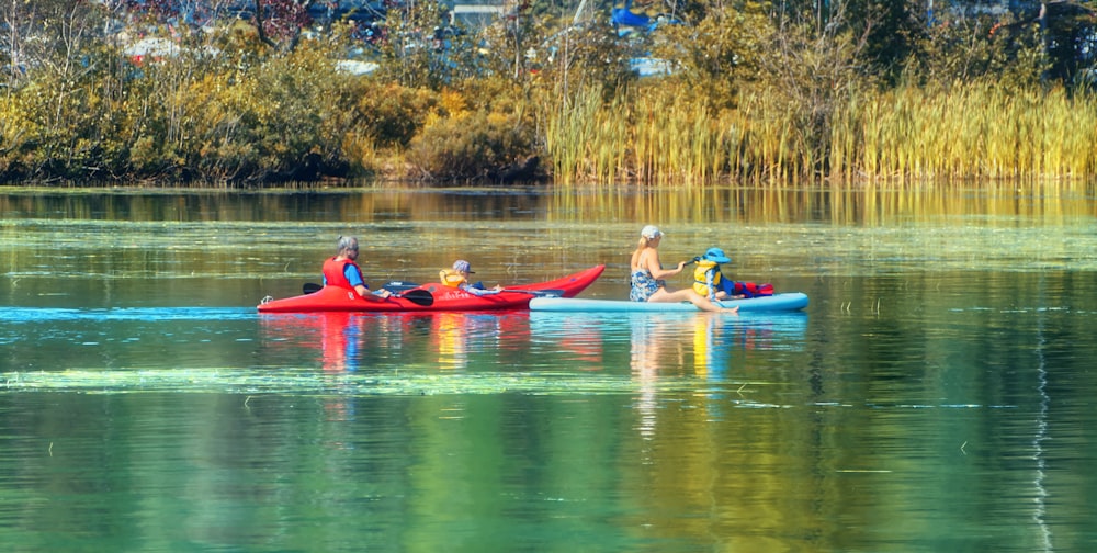 a group of people riding on top of kayaks on a lake