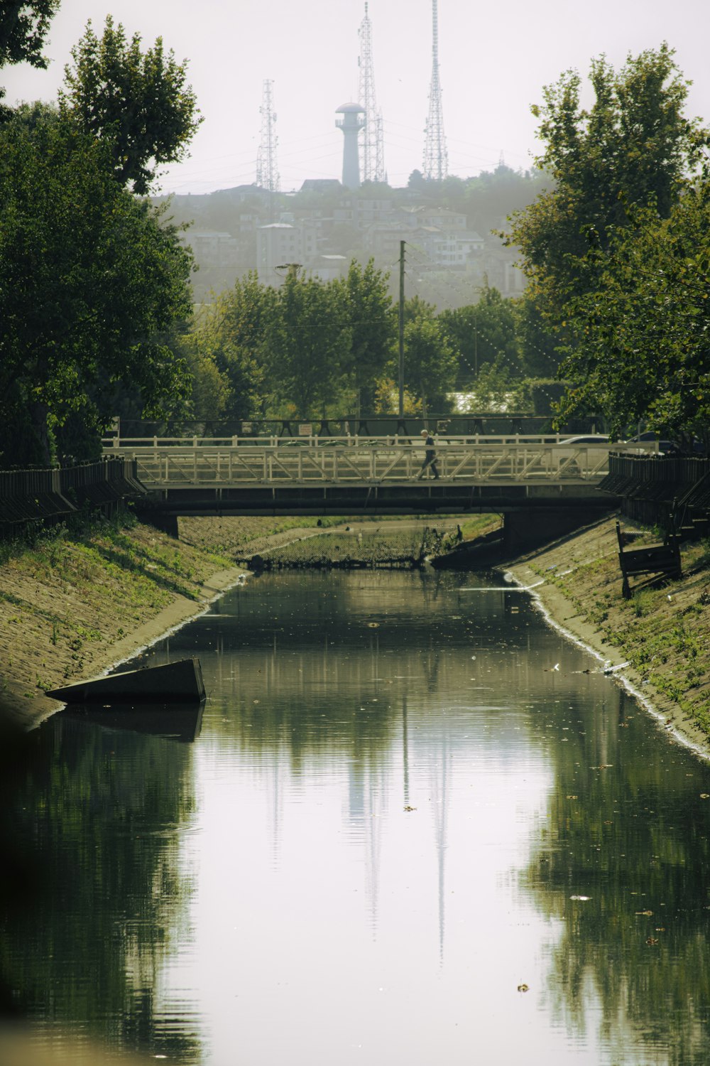 a river running through a lush green forest