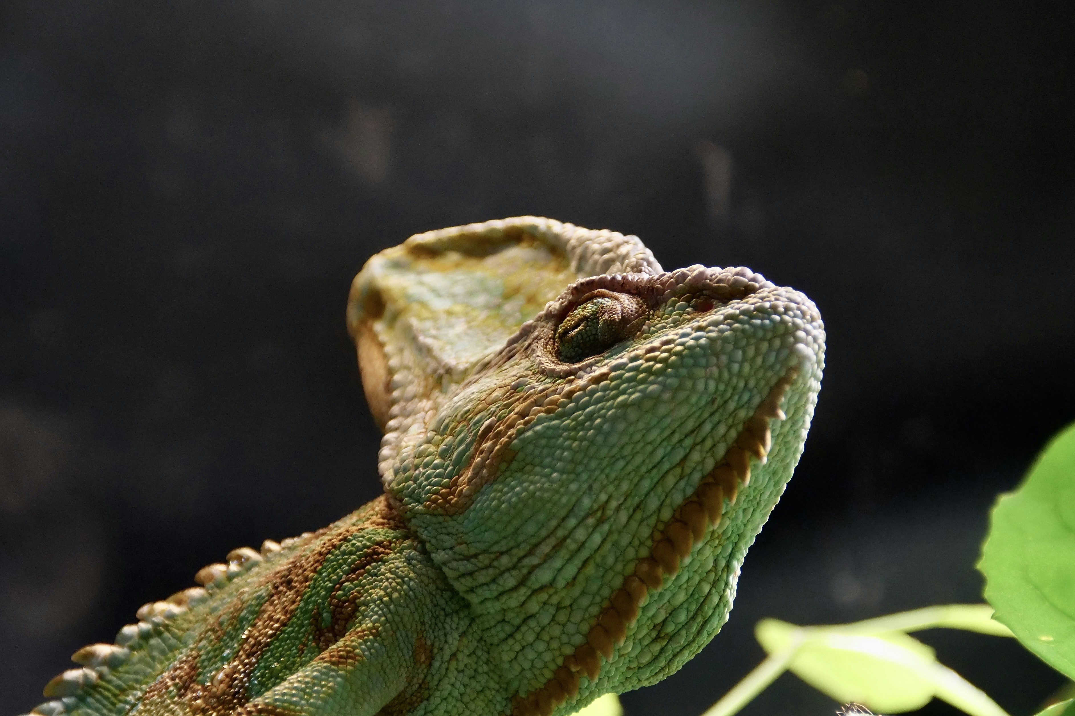 Photo by cocoshalalala