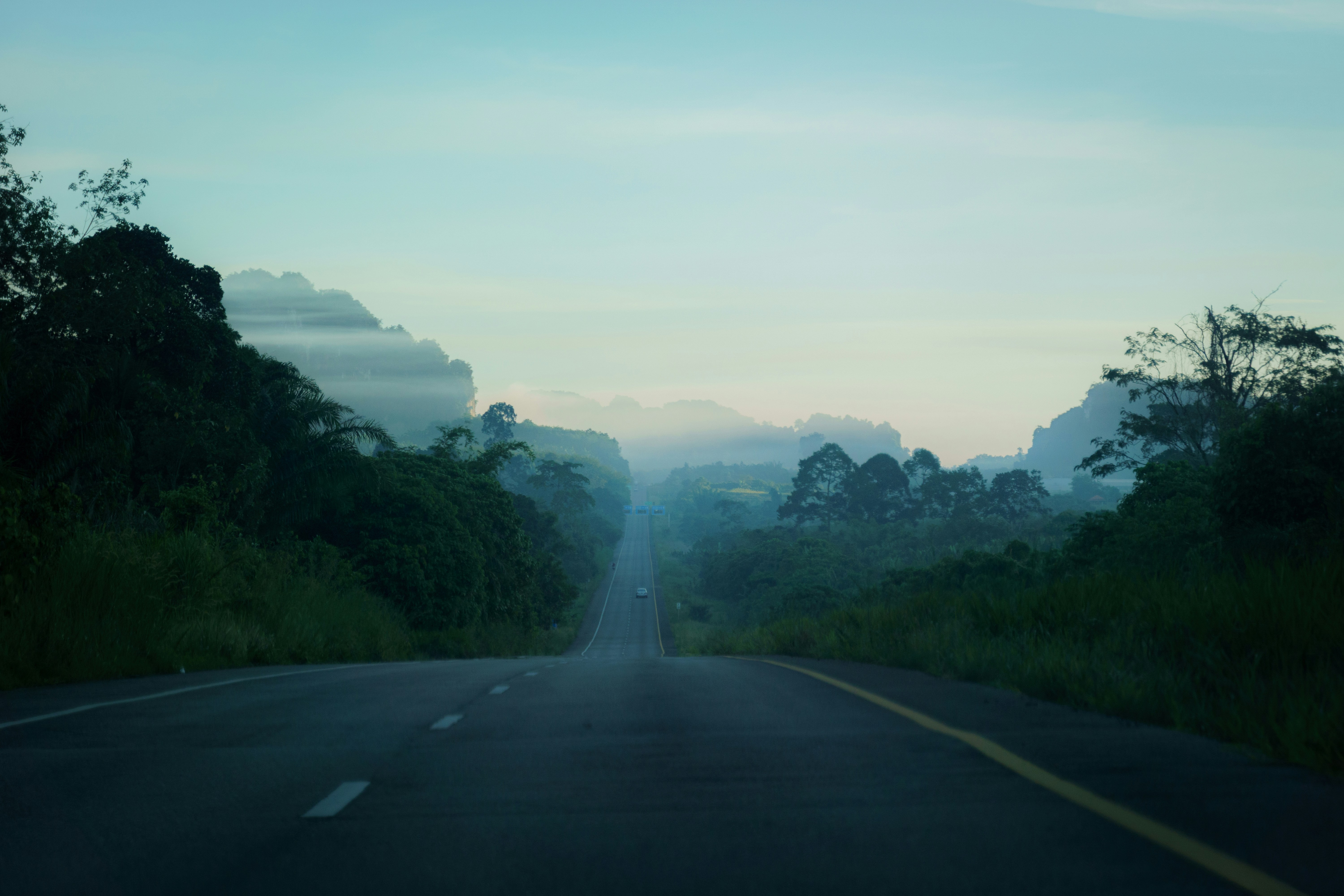 a long road with trees and bushes on both sides