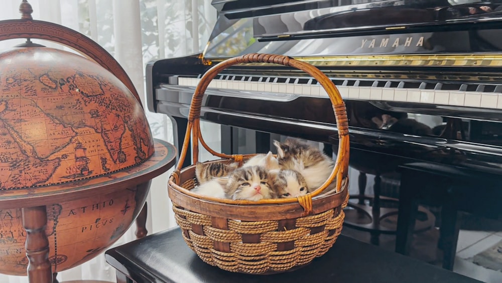 two kittens sleeping in a basket next to a piano