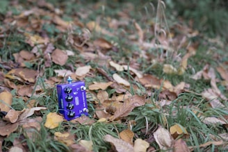 A small blue guitar effects pedal is placed on the ground amidst fallen autumn leaves and patches of green grass. The leaves are in various shades of brown, yellow, and orange, adding a rustic feel to the setting. The pedal appears to have several knobs for adjusting effects.
