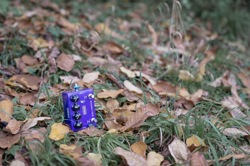 a blue box sitting on top of a pile of leaves