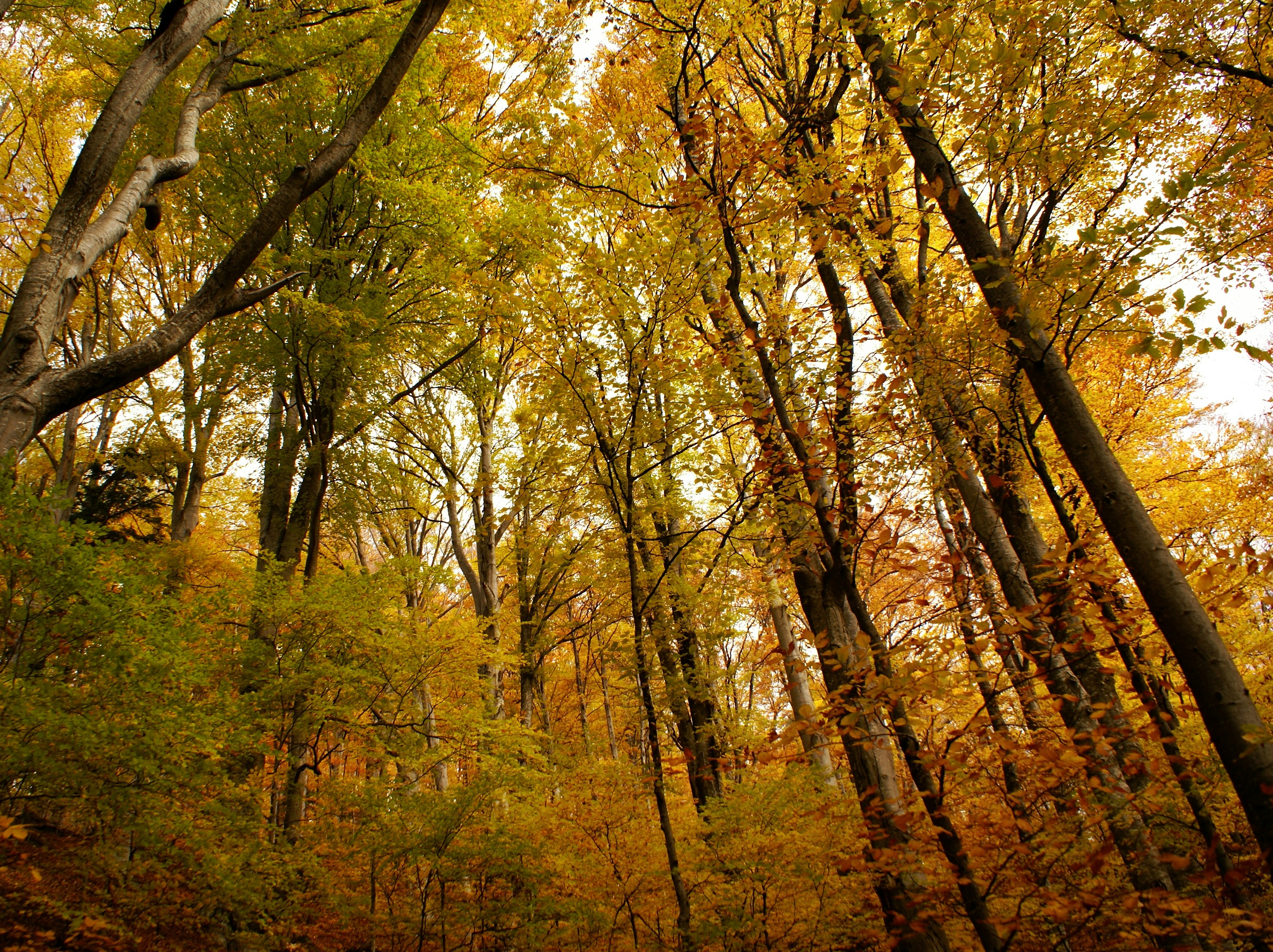 Photo by anamariavisuals