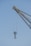 A close-up view of a crane with a metal hook hanging from it against a clear blue sky. The crane is industrial in design, made of sturdy metal with ropes or cables for lifting heavy objects.