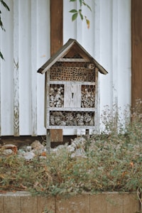 A wooden insect hotel with a rustic design is positioned against a white plank wall. The structure includes various natural materials like pinecones, hollow logs, and twigs, providing shelter for insects. It is surrounded by overgrown grass and plants, adding to the natural setting.